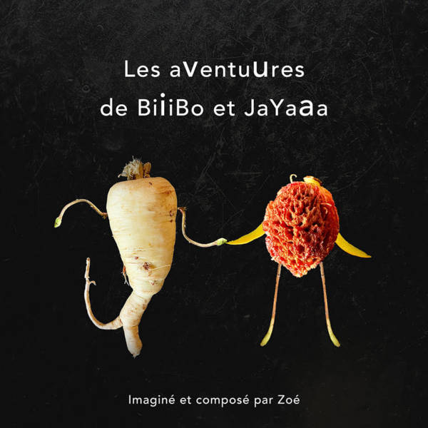 les Aventures de BiiiBo et Jayaaa,